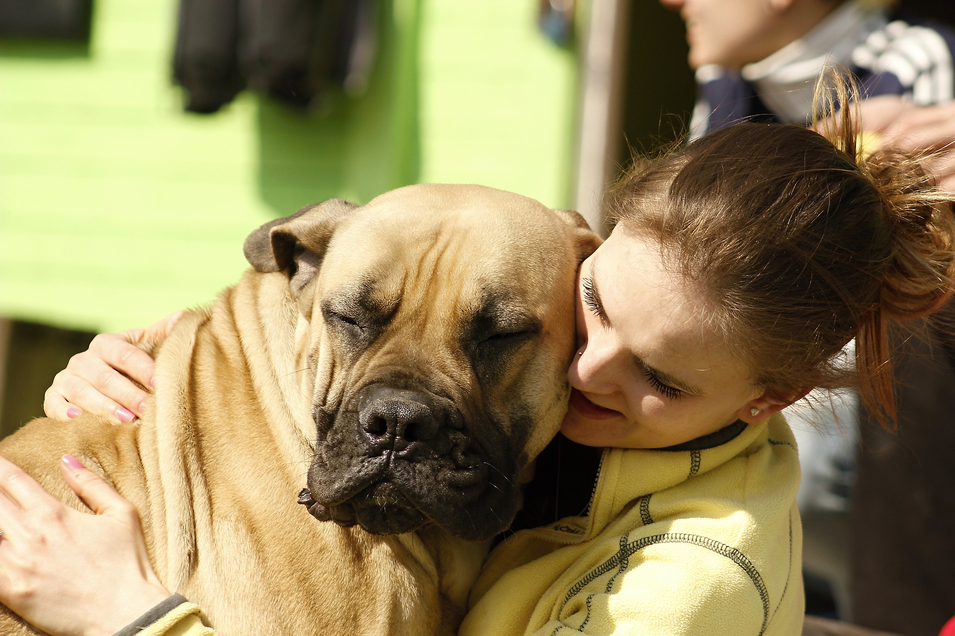 Adopcja psa – o czym należy pamiętać?