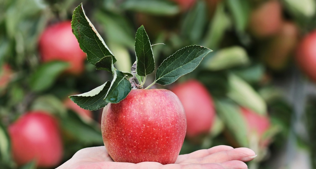 Zdrowotne korzyści picia soku z jabłek – pełny przegląd
