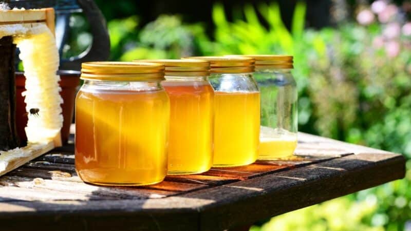Załagodzenie jesienno-zimowego spadku nastroju naturalnymi metodami